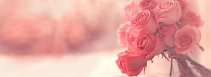 Best Flower Roses Facebook Covers